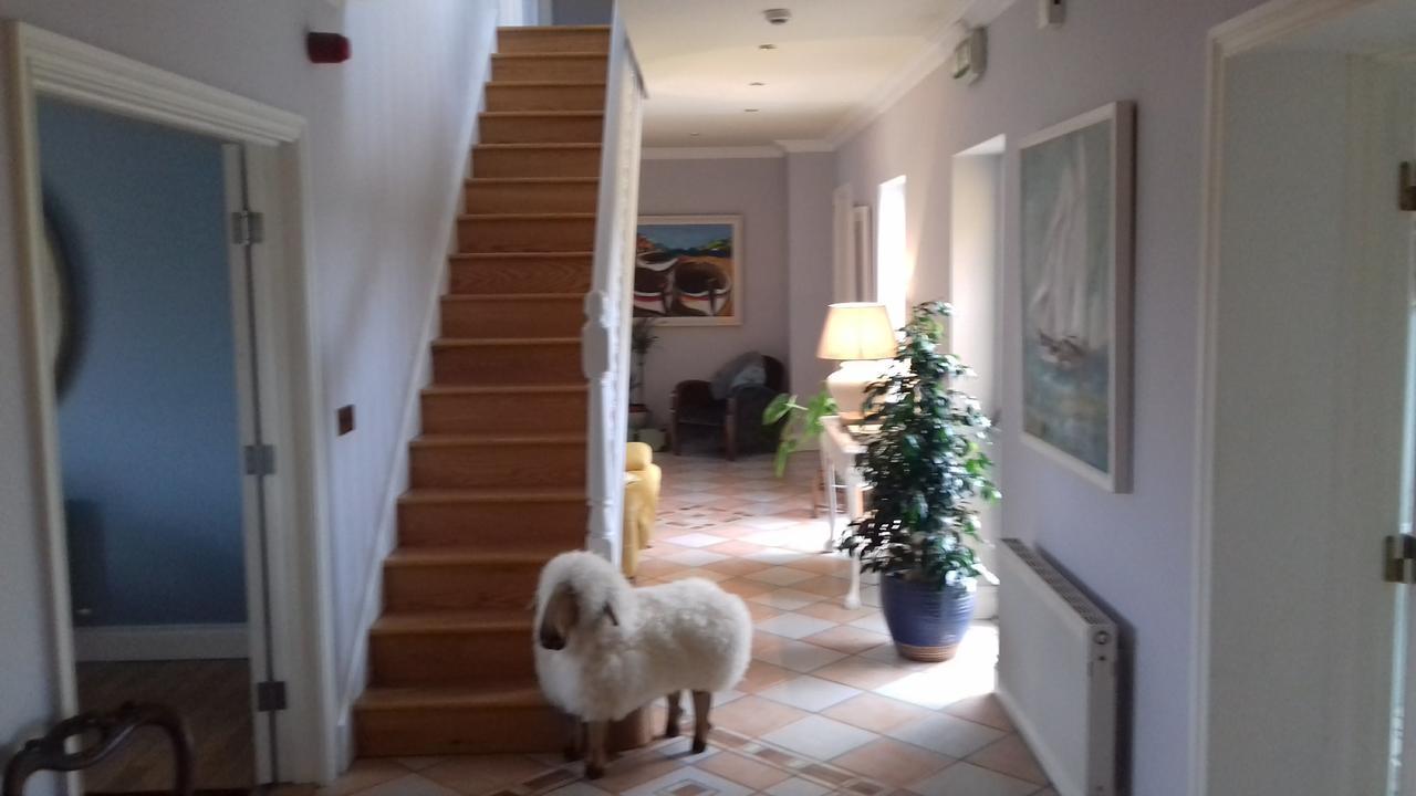 Fiuise B&B Dingle Exterior photo